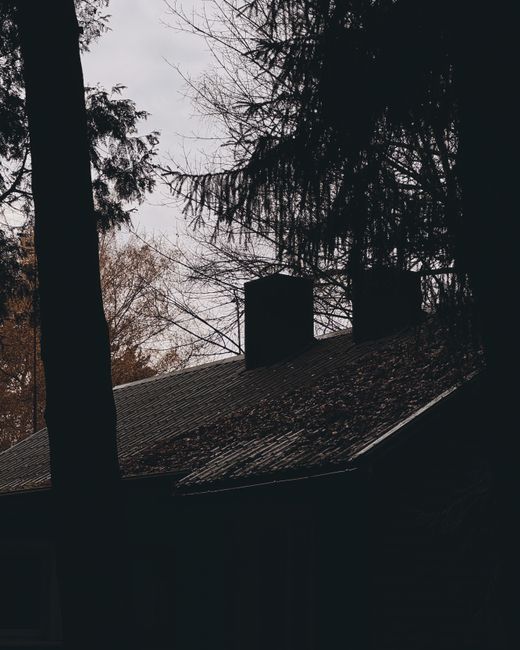 A person safely uses a long-handled roof rake to remove dry leaves from a low residential roof.